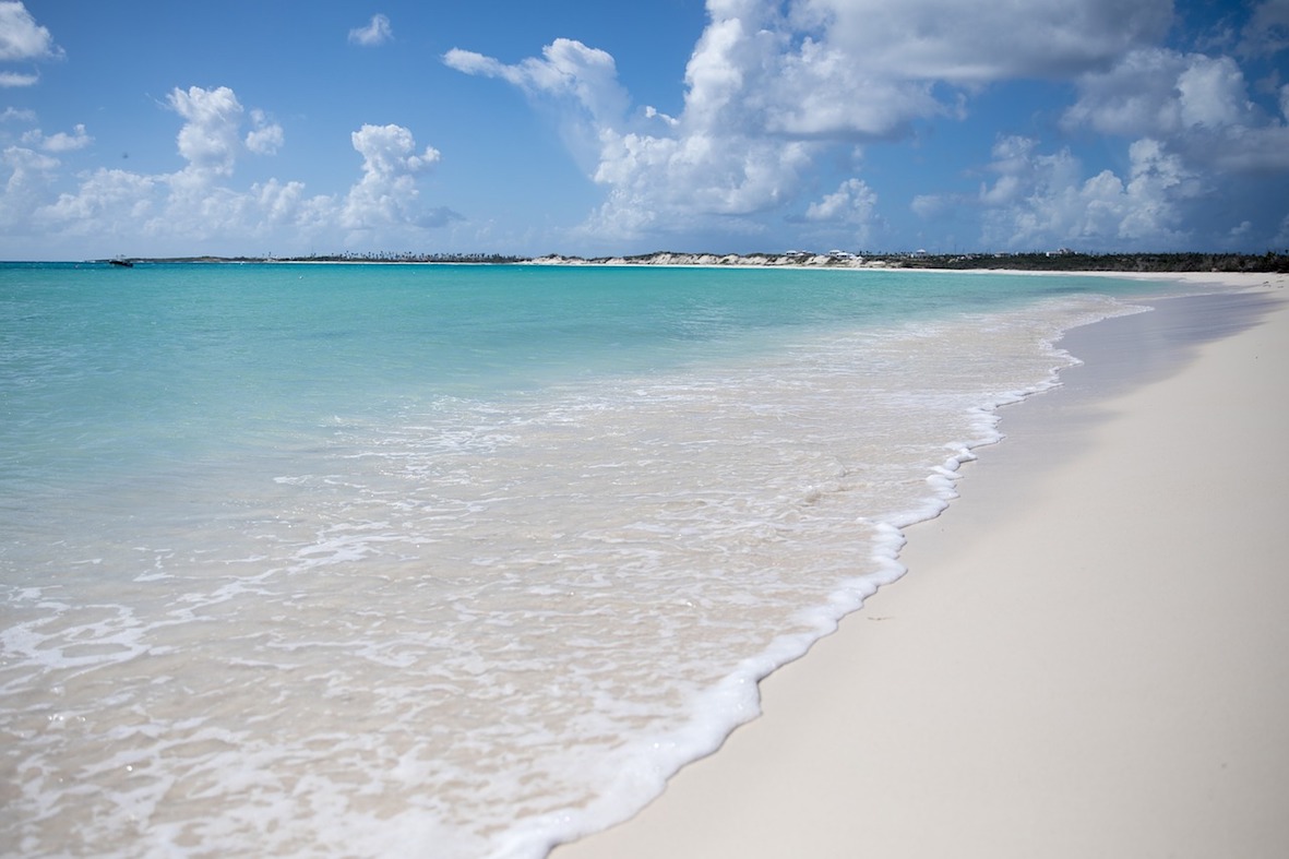 Anguilla Anguilla